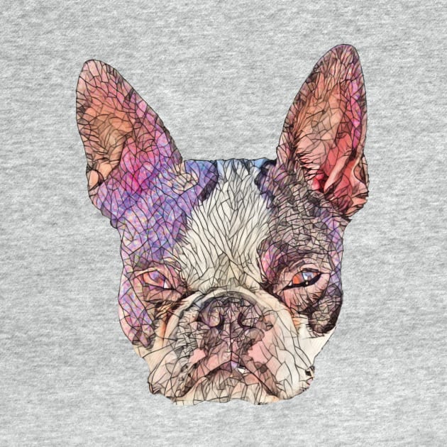 Boston Terrier Dog by DoggyStyles